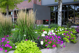 Landscape solutions for multi-family communities and HOA’s. We plan, design and maintain your common areas to enhance curb appeal and increase property values.