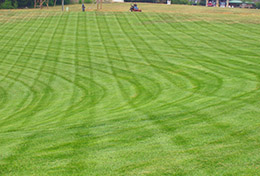 Full Service Commercial Landscape Management Services, from design and construction to installation and life-cycle management.